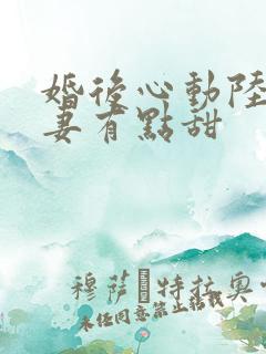 婚后心动陆少追妻有点甜