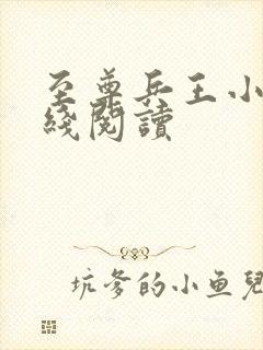 至尊兵王小说在线阅读