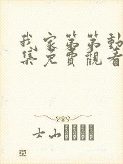 我家第第动漫全集免费观看高清