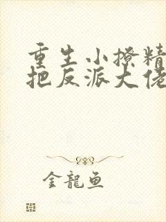 重生小撩精,我把反派大佬宠娇了