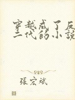 穿越成了反派富二代的小说叶枫