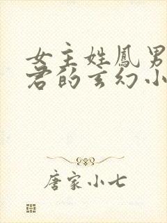 女主姓凤男主姓君的玄幻小说