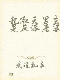 龙傲天男主就该是反派老婆