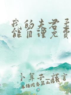 我的夫君柔弱不能自理免费阅读