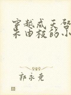 穿越成天启皇帝朱由校的小说