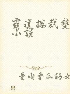 霸道总裁双男主小说