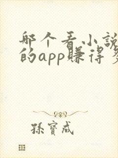 哪个看小说赚钱的app赚得多