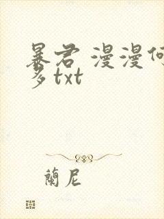 暴君 漫漫何其多txt