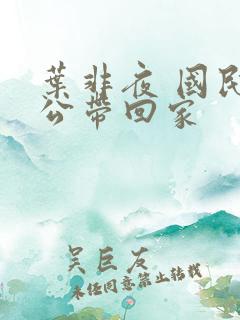 叶非夜 国民老公带回家