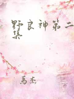 野良神第二季全集