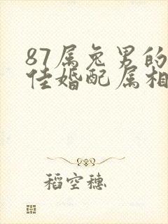 87属兔男的最佳婚配属相