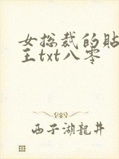 女总裁的贴身兵王txt八零