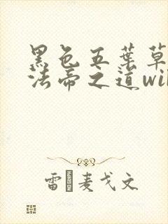 黑色五叶草m魔法帝之道wiki