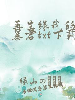 再生缘我的温柔暴君txt下载