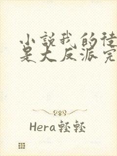 小说我的徒弟都是大反派完结