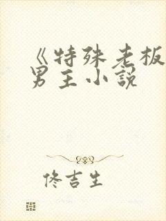 《特殊老板》双男主小说