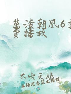 万渣朝凰6季免费播放