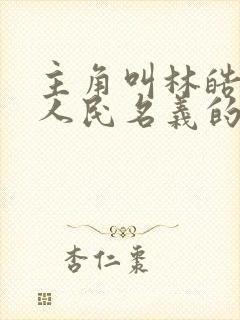 主角叫林皓穿越人民名义的小说