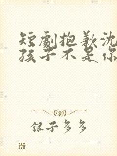 短剧抱歉沈先生孩子不是你的全集