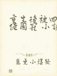 重生后被四个大佬团宠 小说