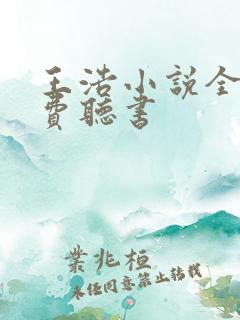 王浩小说全文免费听书