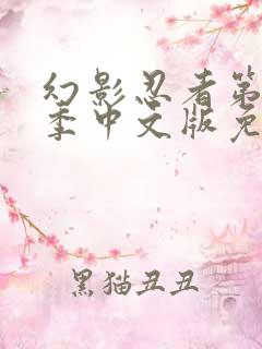 幻影忍者第十二季中文版免费观看