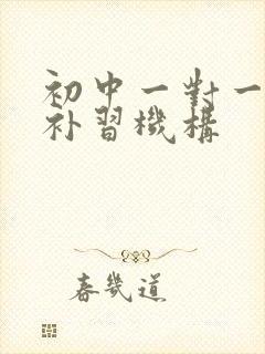 初中一对一物理补习机构