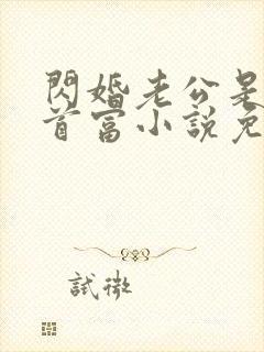 闪婚老公是千亿首富小说免费