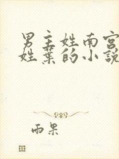 男主姓南宫女主姓叶的小说