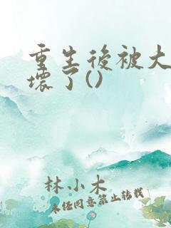 重生后被大佬宠坏了()