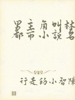 男主角叫林凡的都市小说名字