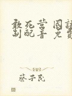 敢死营 国语译制配音 免费观看完整版