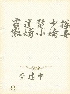 霸道楚少总裁的傲娇小娇妻