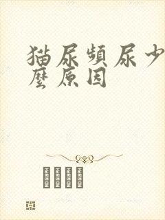 猫尿频尿少是什么原因