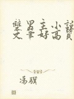 双男主小说推荐文笔好高质量