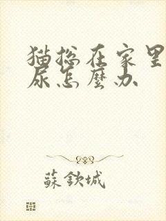 猫总在家里乱撒尿怎么办