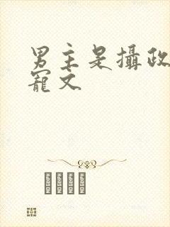 男主是摄政王的宠文