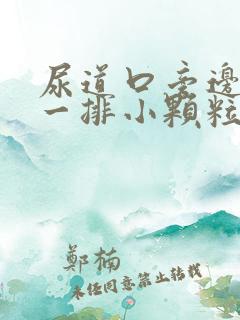 尿道口旁边长了一排小颗粒