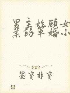 男主姓顾女主姓叶的军婚小说