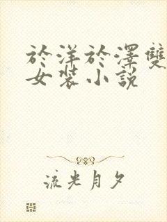 于洋于泽双男主女装小说