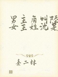 男主角叫陆霆琛女主姓沈是重生的