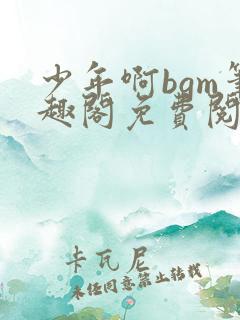 少年啊bgm笔趣阁免费阅读全文