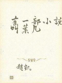 有一部小说主角叫叶凡