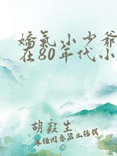 娇气小少爷重生在80年代小说