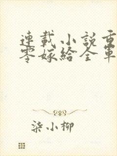 连载小说重生八零嫁给全军第一硬汉