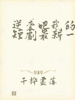 逆袭吧我的儿子短剧最新一集