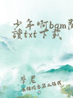 少年啊bgm阅读txt下载
