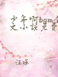 少年啊bgm全文小说免费听