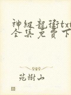 神级龙卫txt全集免费下载