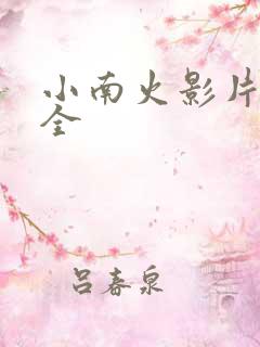 小南火影片子大全